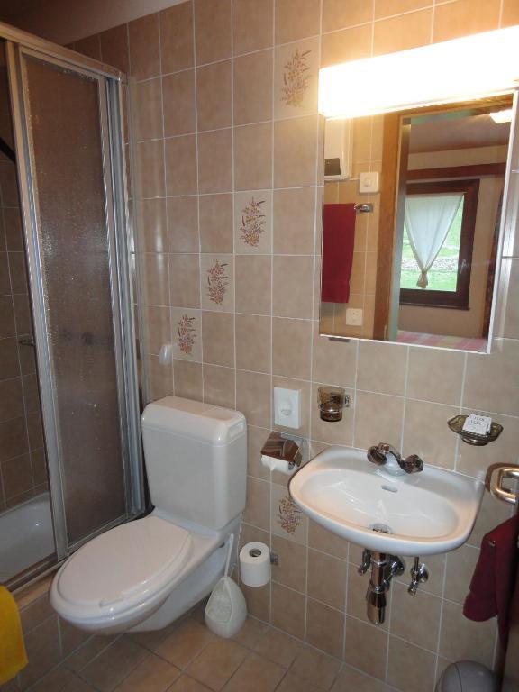 Ristorante Garni Lavizzara Hotel Sornico Værelse billede
